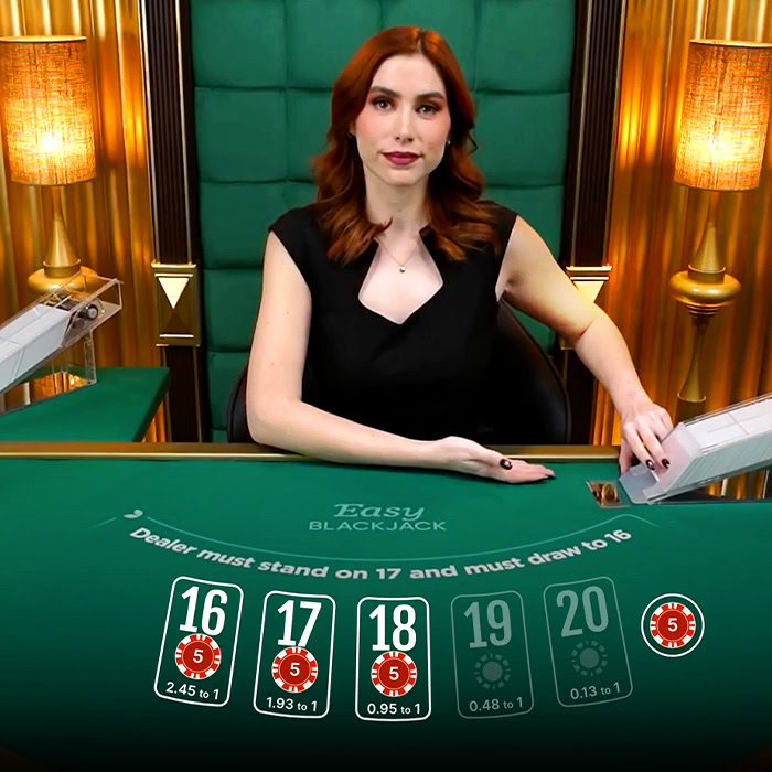 Blackjack 399pg